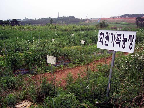 좋은농장에서 운영하고 있는 농협주말농장 모습(이슬촌 마을내 위치) 